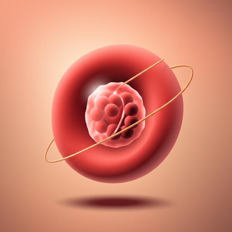 HbA1c สูงเท่าไหร่ถึงน่ากังวล? รู้ค่าสำคัญเพื่อคุมเบาหวานไม่ให้แทรกซ้อน section 1