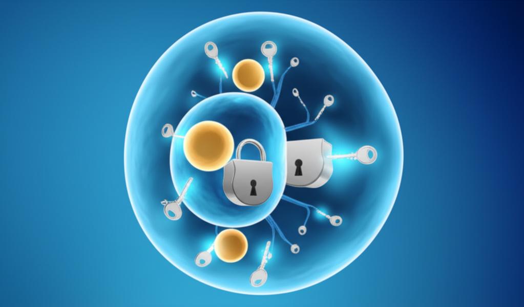 ภาวะดื้ออินซูลิน: สัญญาณร้ายที่บอกว่า 