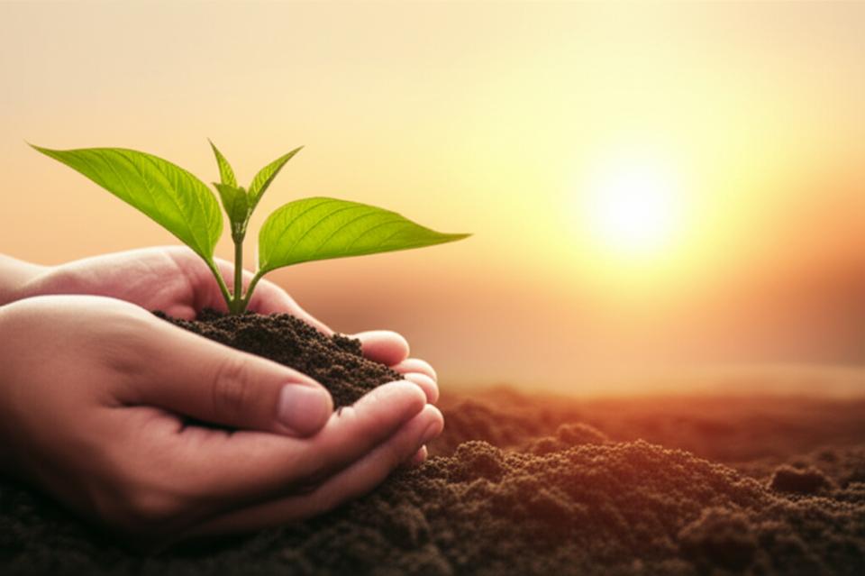 ฟื้นฟูไตเสื่อมให้ดีขึ้นได้จริงหรือ? ถ้าไม่อยาก 'ฟอกไต' ต้องทำอย่างไร? section 2