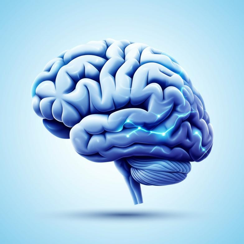 สมองคุณกำลัง 'ฝ่อเงียบๆ' หรือเปล่า? เช็กด่วน! 7 สัญญาณอันตราย พร้อมเผยเคล็ดลับฟื้นฟูความจำ ให้สมองกลับมาเฟิร์ม ห่างไกลอัลไซเมอร์ พาร์กินสัน section 1