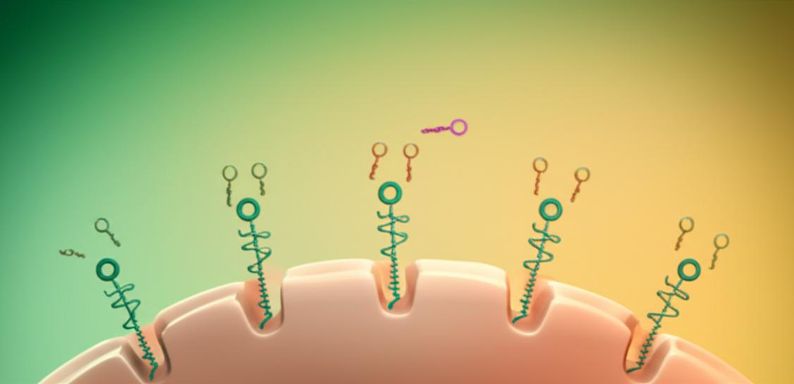 น้ำตาลเริ่มสูง...สัญญาณอันตรายภาวะดื้ออินซูลินที่คุณต้องรู้ก่อนเป็นเบาหวาน section 1