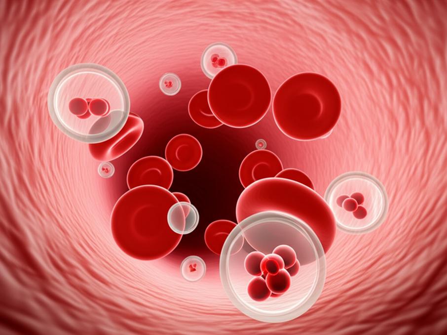 คุม HbA1c ให้ได้ตามเป้า: ปรับพฤติกรรมง่ายๆ ห่างไกลเบาหวานเรื้อรัง section 1