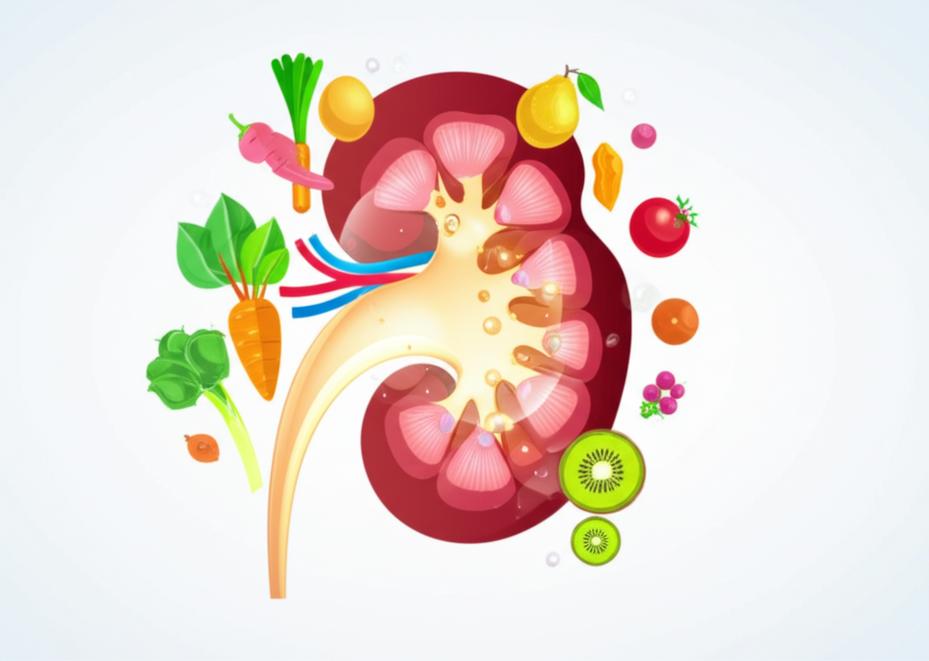 ฟื้นฟูไตอย่างยั่งยืน: ทางเลือกจากเวชศาสตร์ชะลอวัยที่ช่วยลดความเสี่ยงการฟอกไต section 3