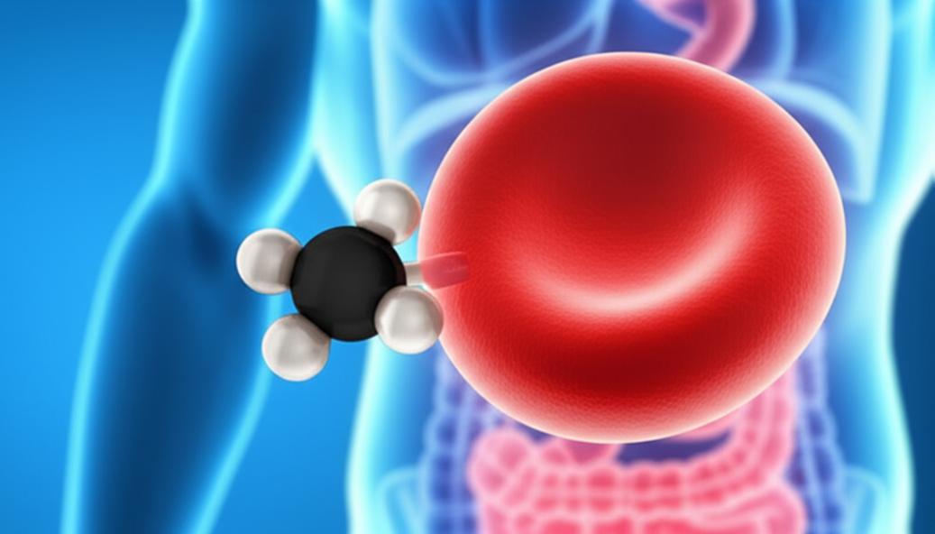 ทำอย่างไรให้ HbA1c อยู่ในเกณฑ์? 5 กลยุทธ์คุมน้ำตาลแบบมือโปร ที่คนเป็นเบาหวานต้องรู้ section 1