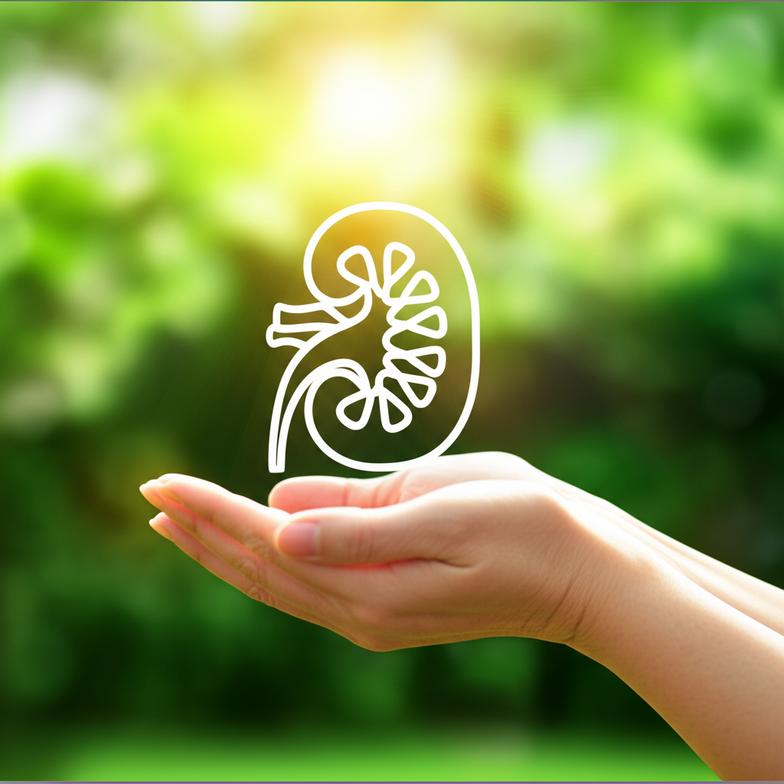 หยุดทำสิ่งนี้ทันที! 5 พฤติกรรมที่คุณทำแล้ว ‘ไต’ พังเร็วขึ้น เสี่ยง ‘ฟอกไต’ ก่อนวัยอันควร section 4