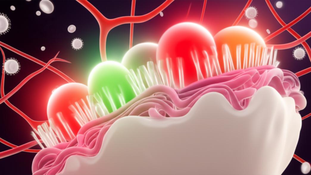 เข้าใจผิดเรื่องเบาหวาน: 3 ความเชื่อที่ทำให้น้ำตาลพุ่งไม่รู้ตัว section 1