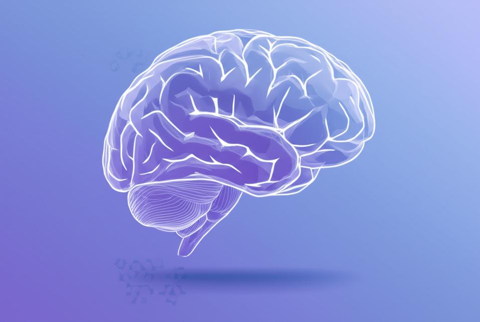 ความจำแย่ลงเพราะสมองฝ่อ? 5 สัญญาณเตือนที่คุณต้องรู้ พร้อมวิธีฟื้นฟูสมองก่อนอัลไซเมอร์ถามหา section 1