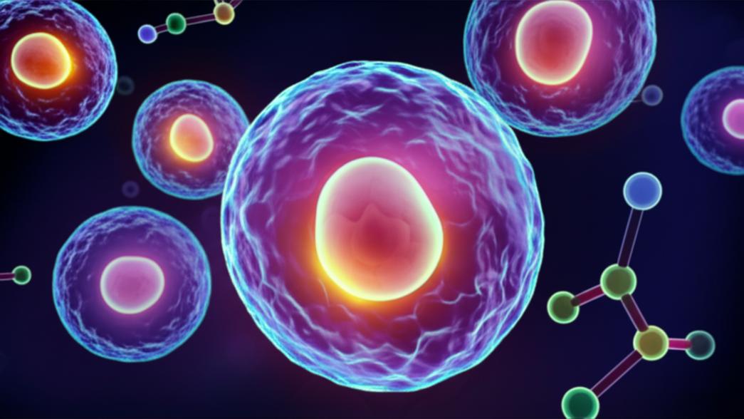 วิธีคุมน้ำตาลในชีวิตประจำวัน: แนวทางการปรับสมดุลพฤติกรรมเพื่อสุขภาพยืนยาว section 1