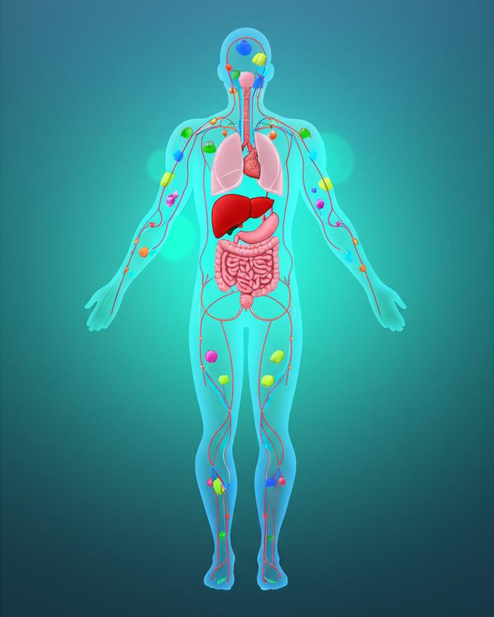 ทำไม HbA1c สำคัญกว่าน้ำตาลรายวัน? ไขความลับสู่การควบคุมเบาหวานที่ยั่งยืน section 3