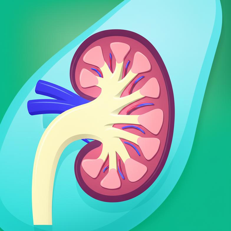 ฟื้นฟูสมดุลไต: แนวทางเวชศาสตร์ชะลอวัย เพื่อลดความเสี่ยงฟอกไตระยะยาว section 5