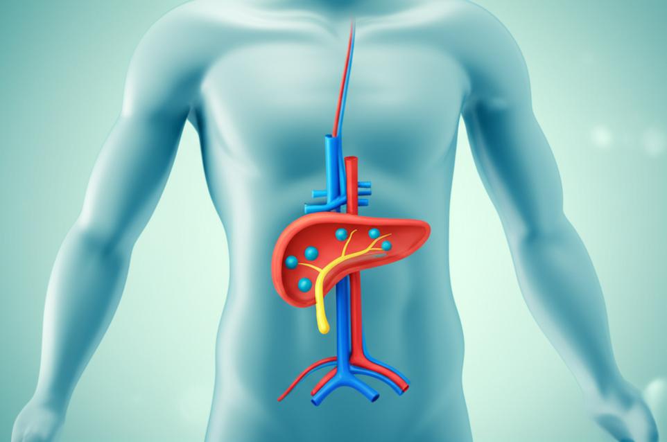 วิธีจัดจานอาหารคุมน้ำตาลฉบับมือใหม่: ฟื้นฟูสมดุลร่างกาย ลด HbA1c อย่างยั่งยืนด้วยหลักเวชศาสตร์ชะลอวัย section 1