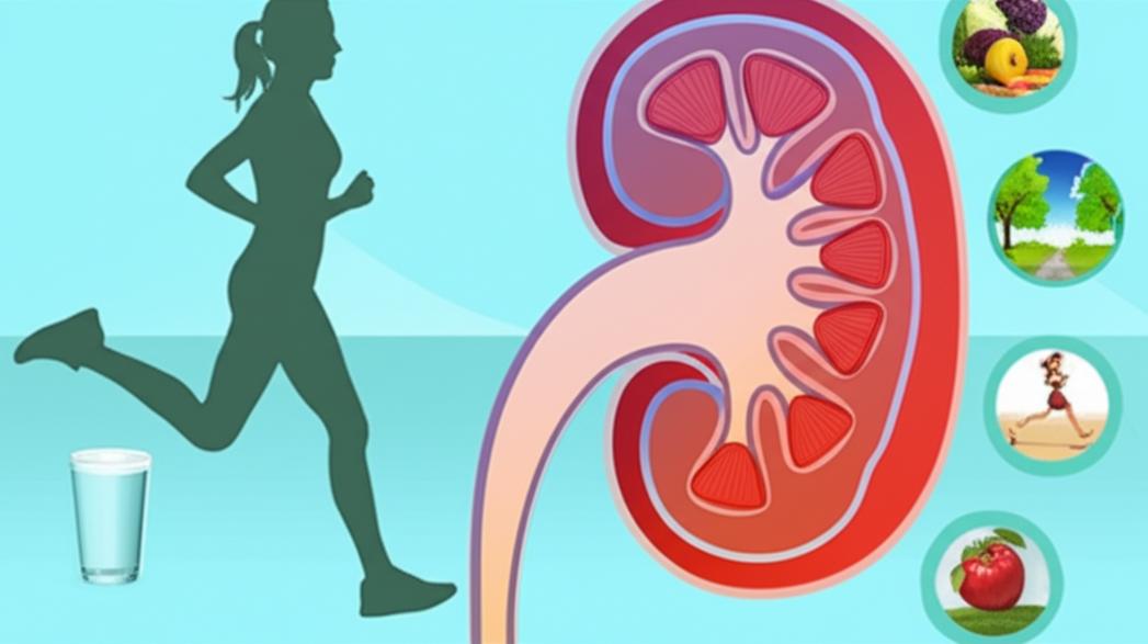 ฟื้นฟูไต ชะลอไตเสื่อม: แนวทางการดูแลจากเวชศาสตร์ชะลอวัย เพื่อคุณภาพชีวิตที่ดีขึ้น section 2