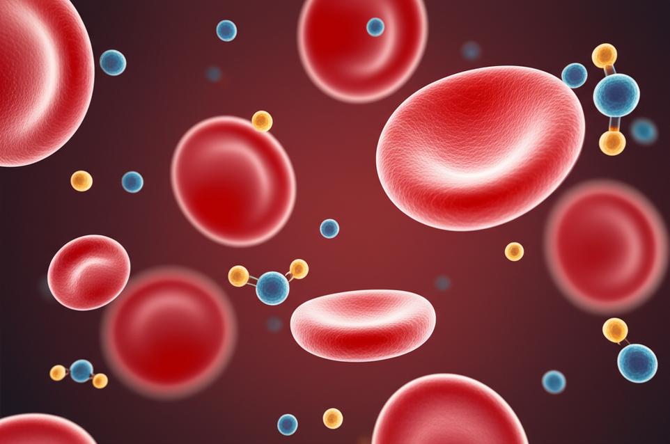 น้ำตาลในเลือดสูงแค่ไหนถึงเรียก 'เบาหวานระยะเริ่มต้น'? สัญญาณเตือนที่ต้องรีบเช็ก และแนวทางการดูแลเพื่อชะลอความเสื่อม section 1