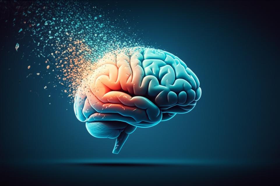 ทำไมบางคนความจำดีถึงแก่? เคล็ดลับฟื้นฟูสมองให้กลับมาจำแม่นอีกครั้ง! section 1