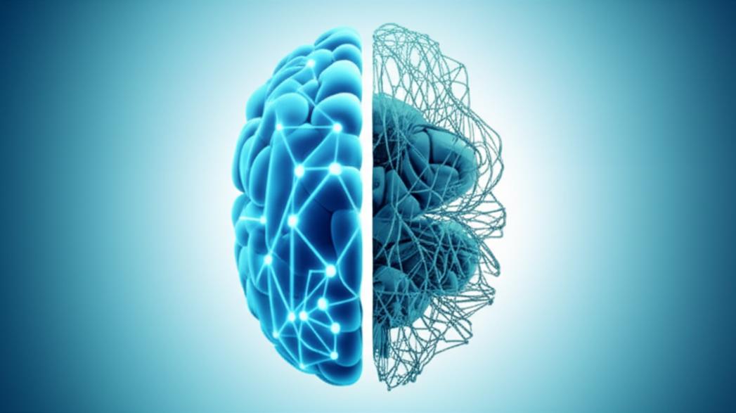 พฤติกรรมเสี่ยงทำลายสมองโดยไม่รู้ตัว: ทำความเข้าใจภาวะสมองฝ่อ-ความจำเสื่อม และแนวทางฟื้นฟูจากแพทย์เวชศาสตร์ชะลอวัย section 1