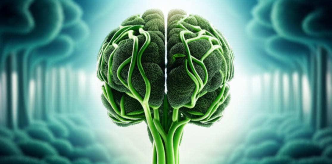 ภาวะสมองฝ่อก่อนวัย: ทำความเข้าใจสาเหตุและแนวทางฟื้นฟูสู่ความเฉียบคม section 4