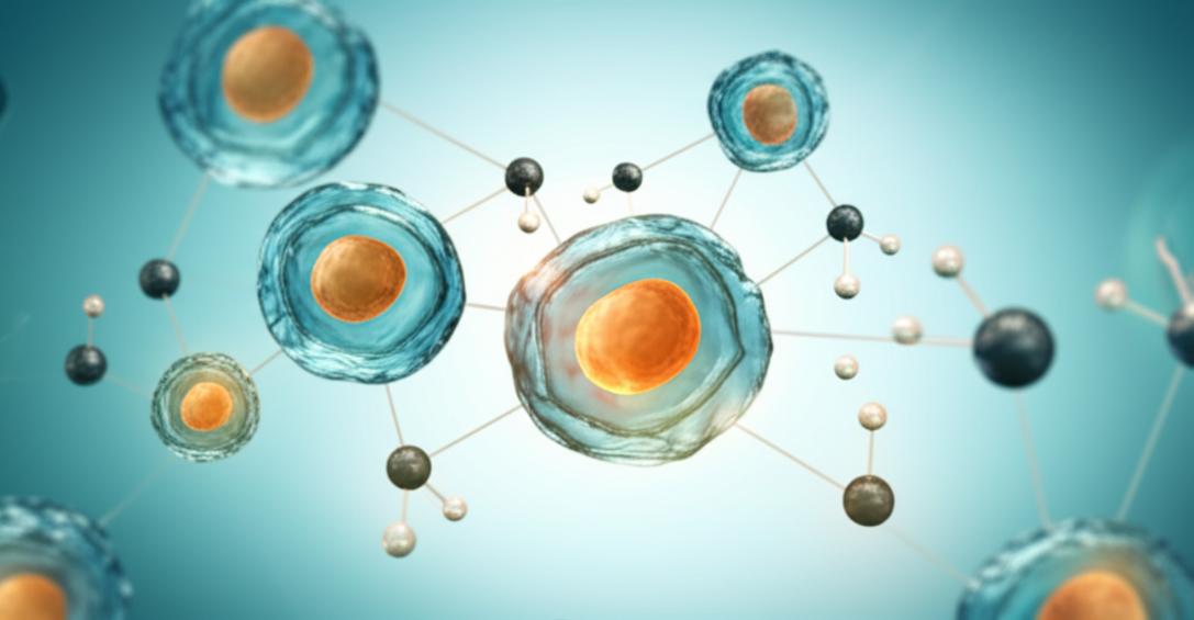 คู่มือปรับพฤติกรรม คุมน้ำตาลในเลือดสูง ให้กลับมาสมดุลอย่างยั่งยืน section 1