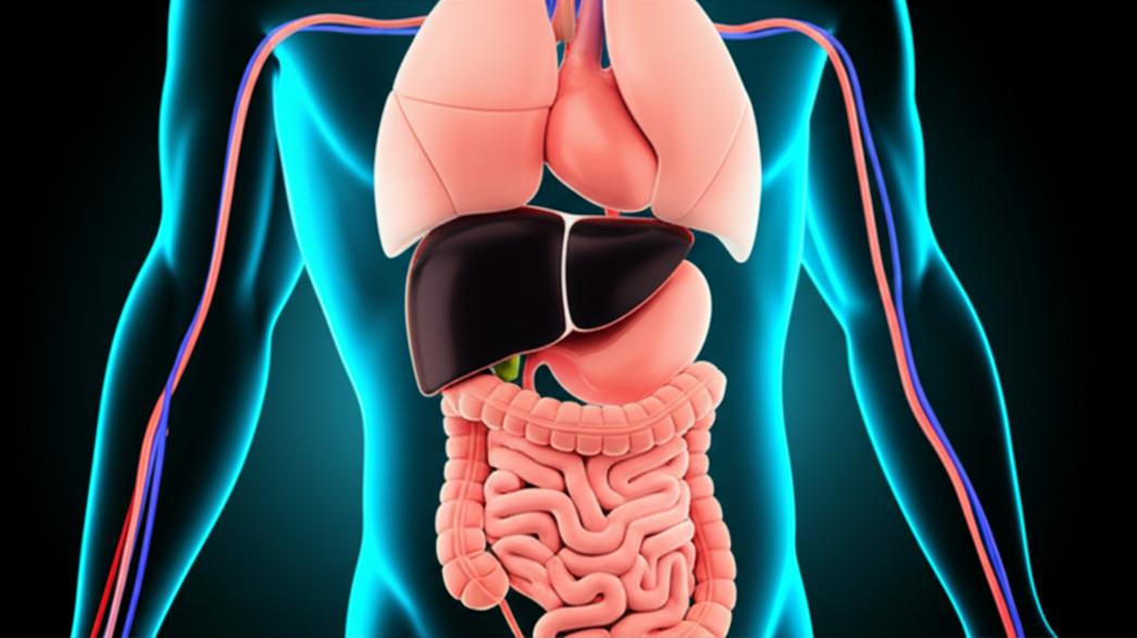 หยุดภาวะดื้ออินซูลินก่อนสาย: แนวทางปรับพฤติกรรมและการดูแลโภชนาการเพื่อคุมระดับน้ำตาลในเลือดระยะเริ่มต้น section 3