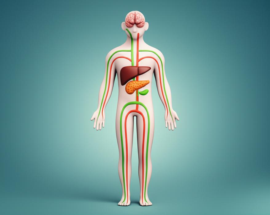 วิธีคุมน้ำตาลให้คงที่: ปรับโภชนาการและพฤติกรรมอย่างเข้าใจ เพื่อชีวิตที่ยืนยาวและมีคุณภาพกับเบาหวาน section 1