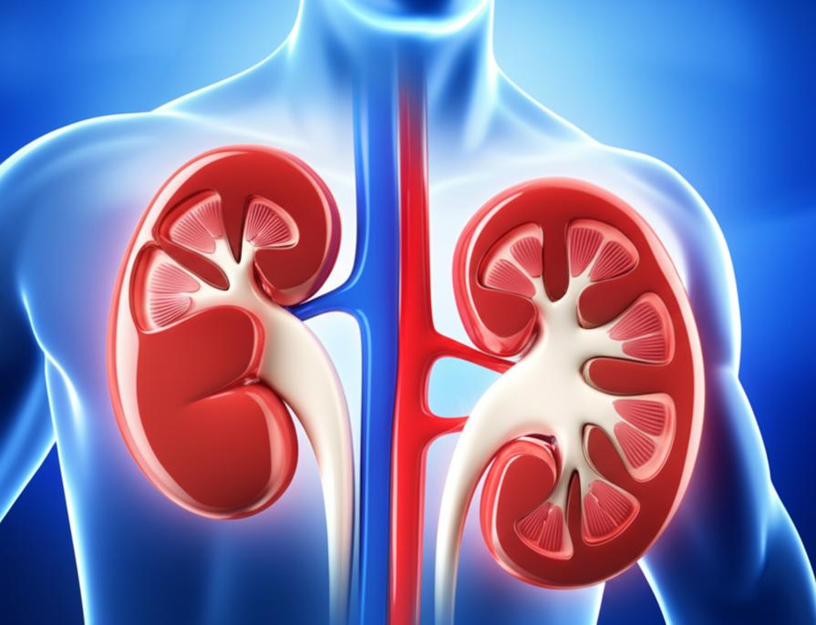 แนวทางเวชศาสตร์ชะลอวัย: ชะลอการเสื่อมของไตอย่างยั่งยืนก่อนเข้าสู่ภาวะฟอกไต section 1