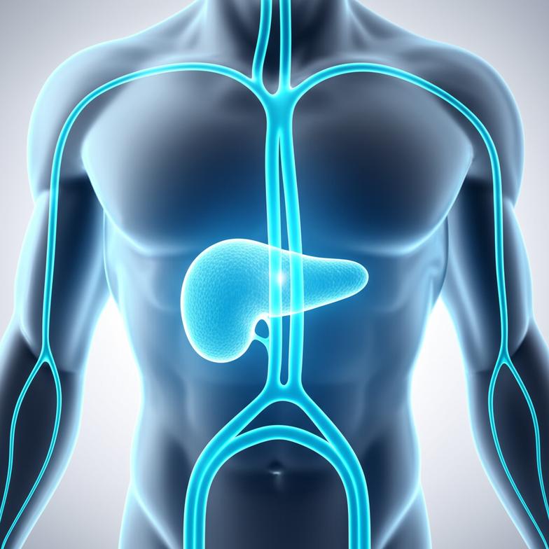 แนวทางการปรับโภชนาการเพื่อ Daily Sugar Control ในชีวิตประจำวัน: เบาหวานกับคุณภาพชีวิตที่ดี section 1