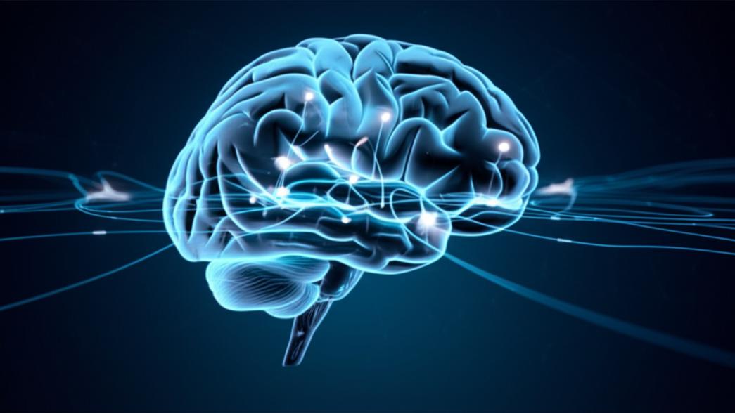 คุณกำลังเร่งให้สมอง 'ฝ่อ' โดยไม่รู้ตัว? เผย 5 เคล็ดลับแพทย์กู้ความจำ ชะลออัลไซเมอร์ section 1