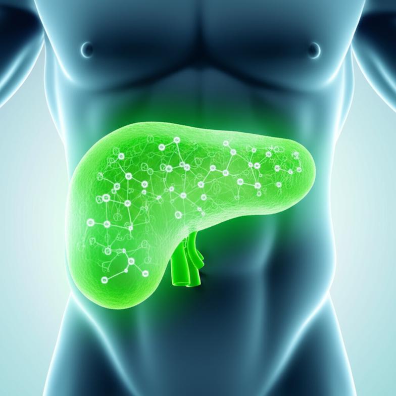 HbA1c สูงแค่ไหนถึงอันตราย? เจาะลึกตัวเลขที่คนเบาหวานควรรู้ section 1