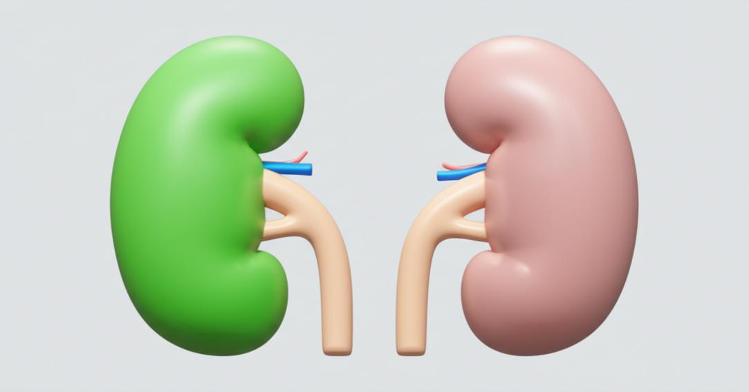 8 แนวทางดูแลและฟื้นฟูไต: ชะลอความเสื่อมและลดความเสี่ยงการฟอกไตด้วยเวชศาสตร์ชะลอวัย section 1