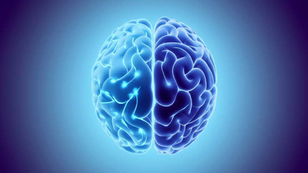 สมองคุณกำลังฝ่อเร็วเกินไปไหม? เปิดสัญญาณเตือน! พร้อม 5 วิธีพลิกฟื้นสมองให้แข็งแรง ห่างไกลอัลไซเมอร์-พาร์กินสัน section 2