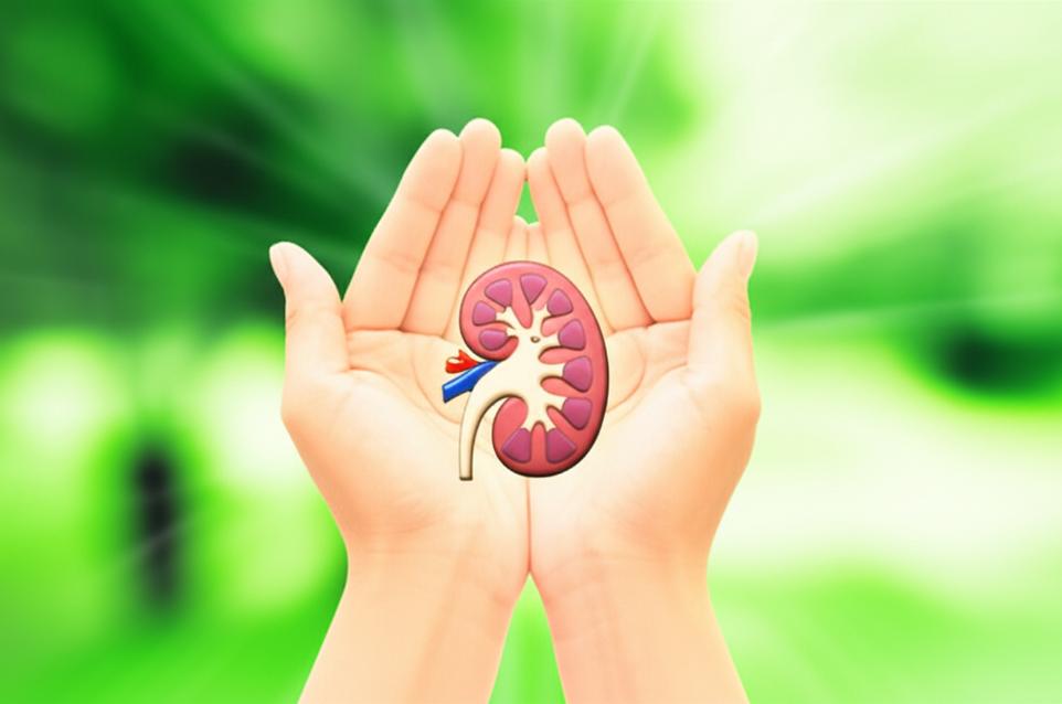 กู้วิกฤตไต: แนวทางการดูแลและฟื้นฟูไตเพื่อชะลอภาวะไตเสื่อม section 4