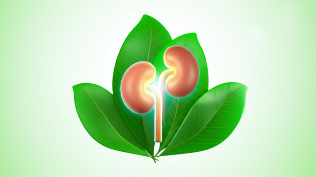 ไตเสื่อม…โอกาสในการ 'ฟื้นฟูไต' ให้ทำงานได้ดีขึ้น โดยไม่จำเป็นต้องฟอกไต: แนวทางจากเวชศาสตร์ชะลอวัย section 4