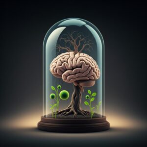 เครียดจนสมองฝ่อจริงหรือ? ถอดรหัส 5 สัญญาณอันตรายและวิธีฟื้นฟูความจำ ป้องกันอัลไซเมอร์ พาร์กินสัน