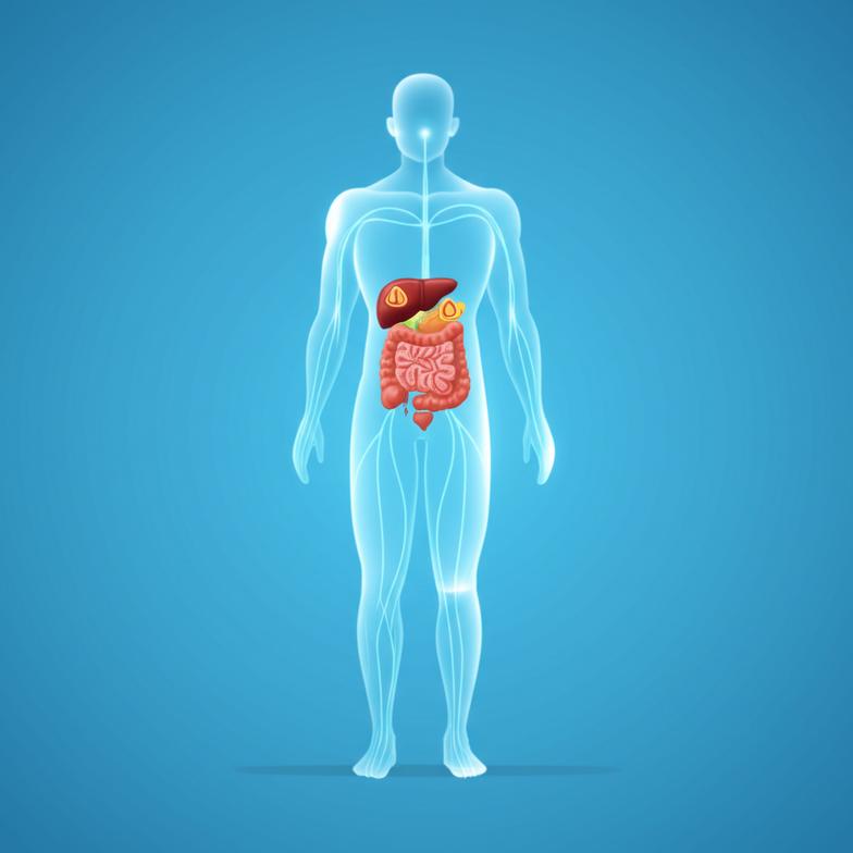 เบาหวานระยะเริ่มต้น: แนวทางการเลือกอาหารเพื่อการควบคุมน้ำตาลและฟื้นฟูสุขภาพอย่างยั่งยืน section 1