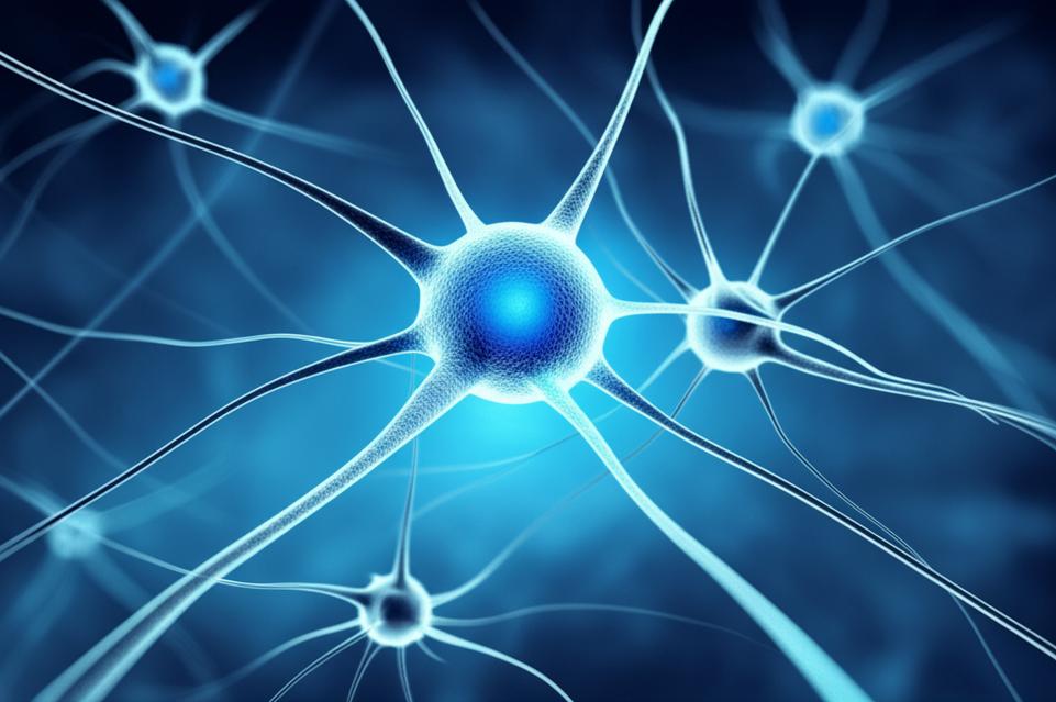 ทำไมอยู่ดีๆ ก็ลืมง่าย สมาธิสั้นลง หรือสมองตื้อ? เผยสาเหตุสมองเสื่อมที่คุณไม่เคยรู้ พร้อมวิธีป้องกันและฟื้นฟูให้สมองกลับมาคมกริบ! section 1